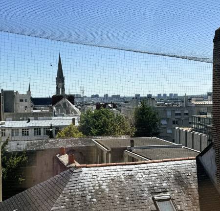 Appartement
                                                        T8
                                                                - HYPER CENTRE